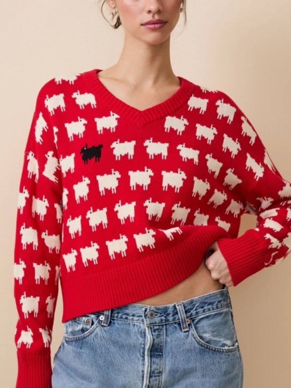Warm & Wonderful Women's Diana Edition Cotton Linen V-NeckSheep Sweater Red, S M